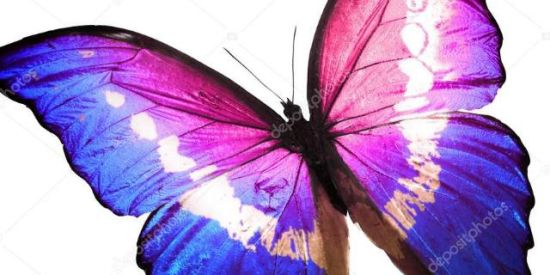 Imagem do grupo de WhatsApp TUDO PARA STTS💕