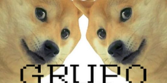 Imagem do grupo de WhatsApp Grupo legal