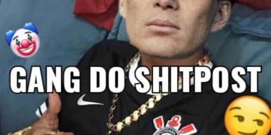 Imagem do grupo de WhatsApp GANG_SHITPOST🔥