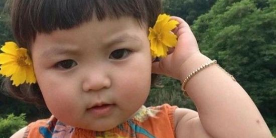 Imagem do grupo de WhatsApp 🦋FIGURINHAS DA JAPINHA🦋