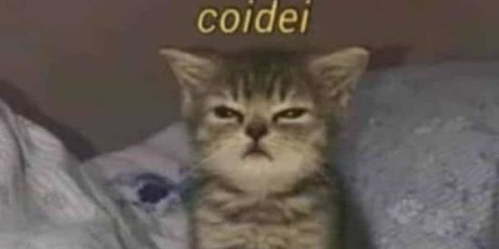 Imagem do grupo de WhatsApp Humor