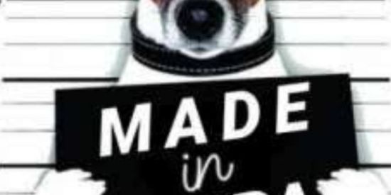 Imagem do grupo de WhatsApp ⚡🌴ERROR 404🌴⚡