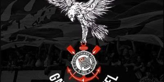 Imagem do grupo de WhatsApp Projeto gavioes 🦅🖤09