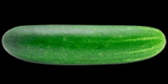 Imagem do grupo de WhatsApp 🥒pepineiros🥒