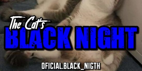 Imagem do grupo de WhatsApp 2🌈14|🐱тнє ¢αт'ѕ🐱 ♚вη'ร♚