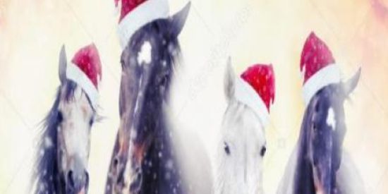 Imagem do grupo de WhatsApp 🙌 RELIGIOSOS  SHlTPOST