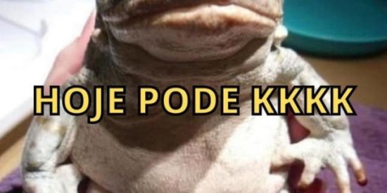 Imagem do grupo de WhatsApp SHITTODDY👺👺