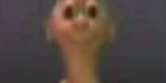 Imagem do grupo de WhatsApp ˢʰⁱᵗᴘᴏsᴛ