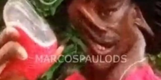 Imagem do grupo de WhatsApp A U C E L O R A