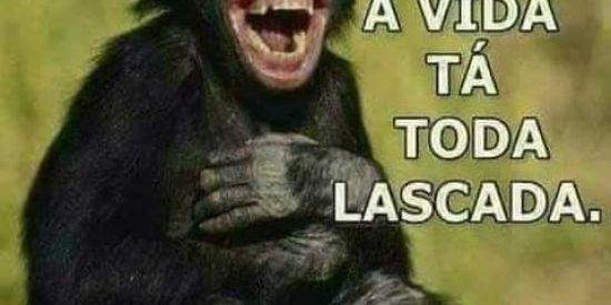 Imagem do grupo de WhatsApp 😂💯 VÍDEOS ENGRAÇADOS 😂💯2