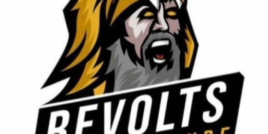 Imagem do grupo de WhatsApp recrutamento revolt's