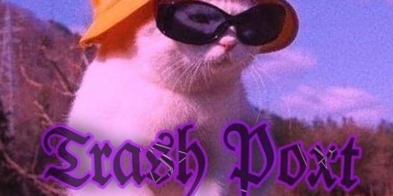 Imagem do grupo de WhatsApp 💫TrashPoxt💫