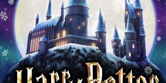 Imagem do grupo de WhatsApp hogwarts