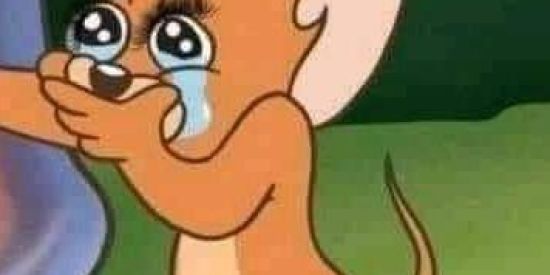 Imagem do grupo de WhatsApp YouTuber iniciantes