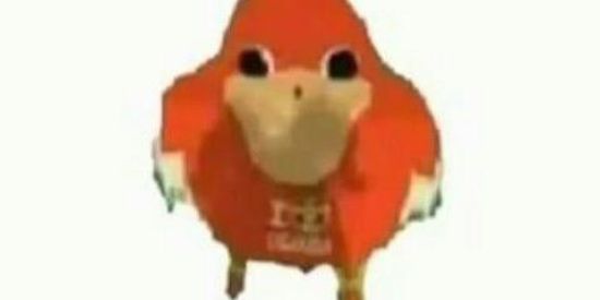 Imagem do grupo de WhatsApp Shitpost_grp