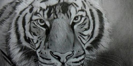 Imagem do grupo de WhatsApp Desenhista iniciante bae📝