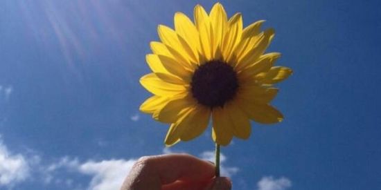 Imagem do grupo de WhatsApp Ajuda em vídeos✨