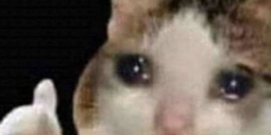 Imagem do grupo de WhatsApp Grupo de meme