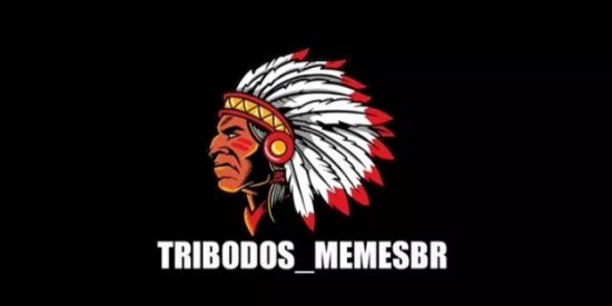 Imagem do grupo de WhatsApp 🔥TRIBODOS_MEMES🔥
