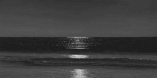 Imagem do grupo de WhatsApp ✨2⃤ Recrutamento PWR✨