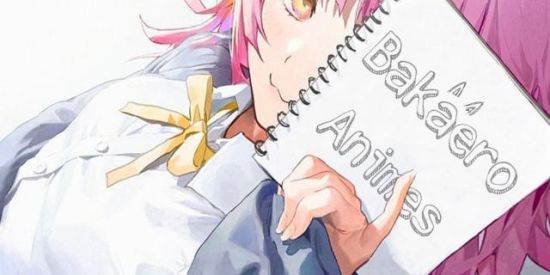 Imagem do grupo de WhatsApp 🇧🇷Bakaero⚔️Animes🇯🇵