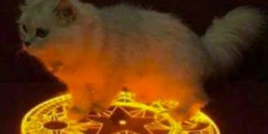 Imagem do grupo de WhatsApp Nerds 😳