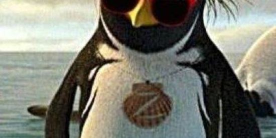 Imagem do grupo de WhatsApp SHITPOST🤡