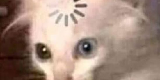 Imagem do grupo de WhatsApp Perigo!Não entre ❌