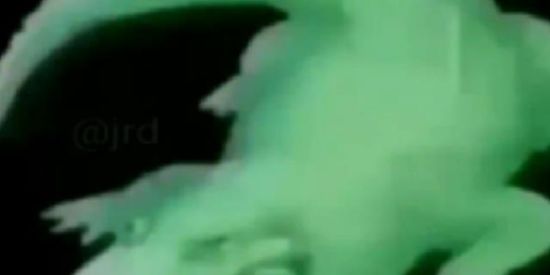 Imagem do grupo de WhatsApp ✌🏻🐊⃟GANG DA LACOSTE⃟🐊✌🏻