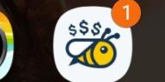 Imagem do grupo de WhatsApp Honeygain