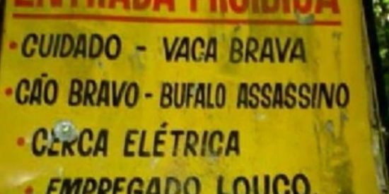 Imagem do grupo de WhatsApp 👺Shitpost Invictos👺