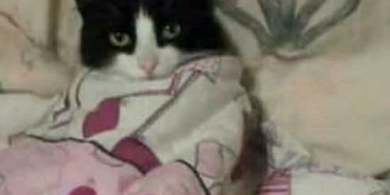 Imagem do grupo de WhatsApp Ainda não sei o nome👺