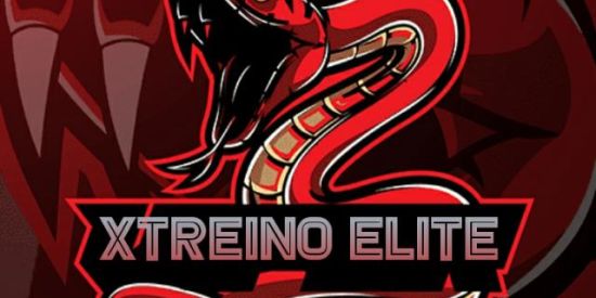 Imagem do grupo de WhatsApp XTREINO ELITE SEASON 1
