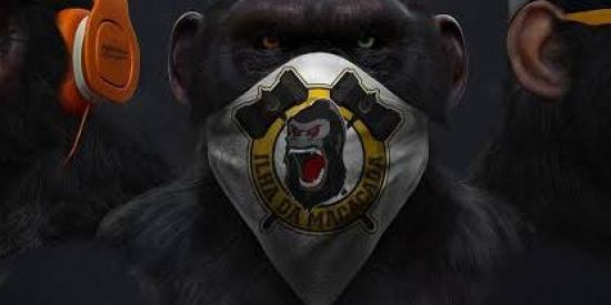 Imagem do grupo de WhatsApp 🦍 ɪʟʜᴀ ᴅᴀ ᴍᴀᴄᴀᴄᴀᴅᴀ ᴏғc🦍