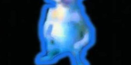 Imagem do grupo de WhatsApp Eterno Shit Post(a volta)