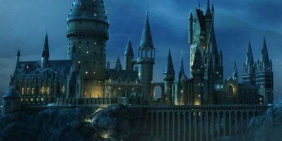 Imagem do grupo de WhatsApp 🔮MAGICAL LEARNING-Fichas🔮