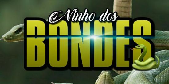 Imagem do grupo de WhatsApp 🐍ɴɪɴʜᴏ ᴅᴏs ʙᴏɴᴅᴇs/ᴘʀᴏᴊᴇᴛᴏ 🐍