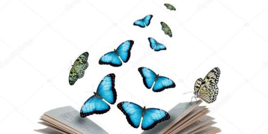 Imagem do grupo de WhatsApp Eu vi, Eu li (mulheres )