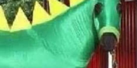 Imagem do grupo de WhatsApp Terra sem lei