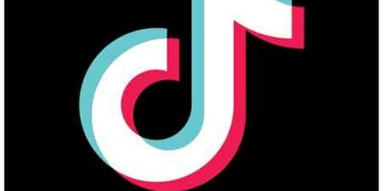 Imagem do grupo de WhatsApp Tiktok