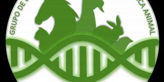 Imagem do grupo de WhatsApp UECE