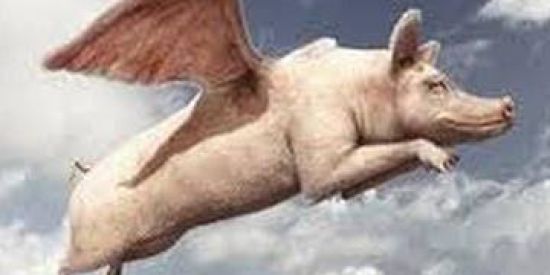 Imagem do grupo de WhatsApp ✨MANICÔMIO✨