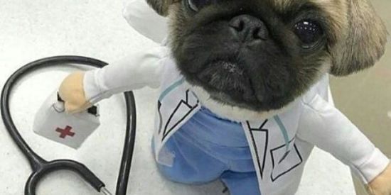 Imagem do grupo de WhatsApp Vale tudo.