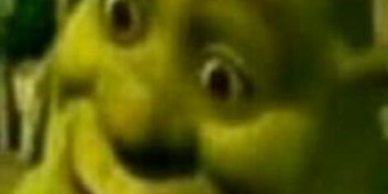 Imagem do grupo de WhatsApp Shitpostsherek🍃👌