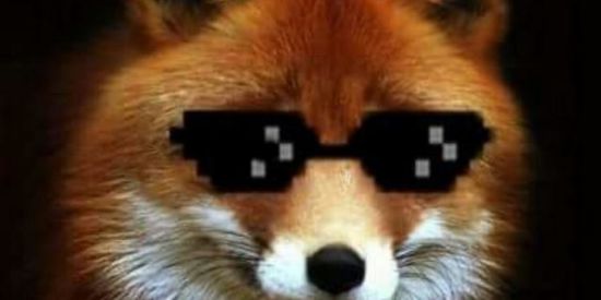 Imagem do grupo de WhatsApp 👌🏼😎Đ€βΔŦ€Ş ĐΔ ŽỮ€ŘΔ᭄👈🏼😎