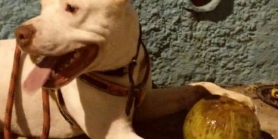 Imagem do grupo de WhatsApp Caruaru PE