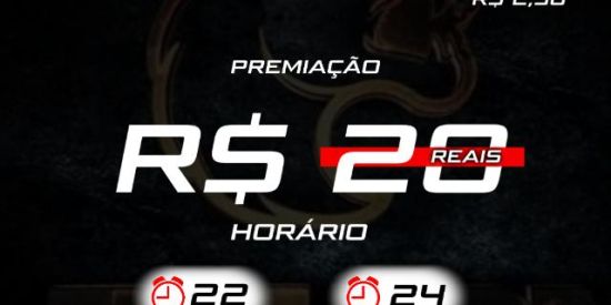 Imagem do grupo de WhatsApp PL CAMP DIARIO⚡