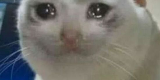 Imagem do grupo de WhatsApp ¥🅾️⛩️°°π√AKAME KAISAY√π°°🅾️⛩️¥