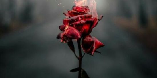 Imagem do grupo de WhatsApp 💎Classe 🅰️♦️♣️♥️🖤🌕