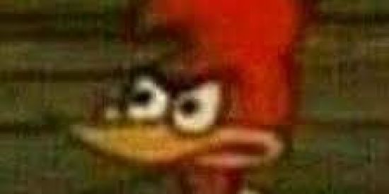 Imagem do grupo de WhatsApp GRUPO DE VAZAMENTOS DO FF